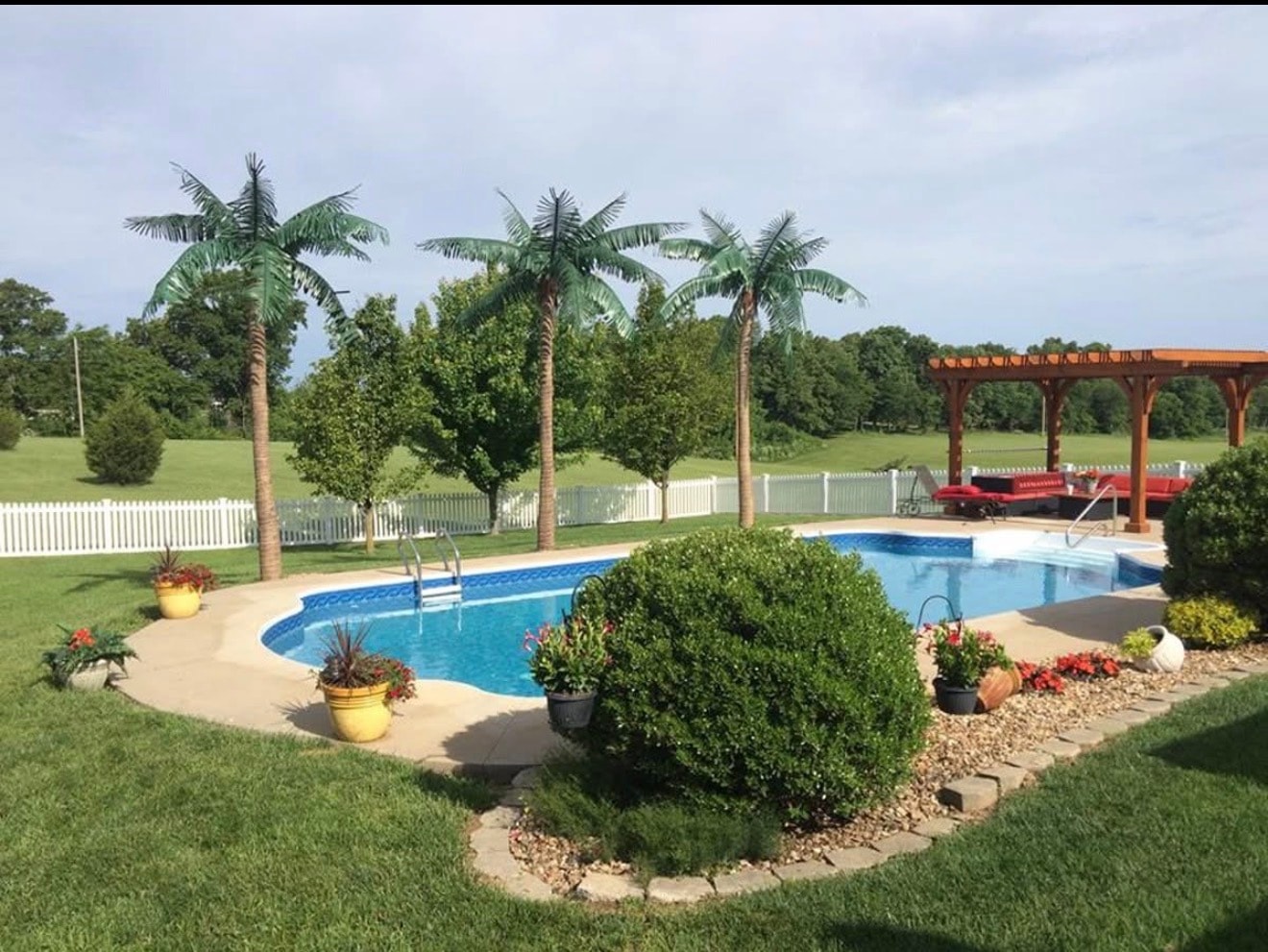 Majestic palm beside a resort pool