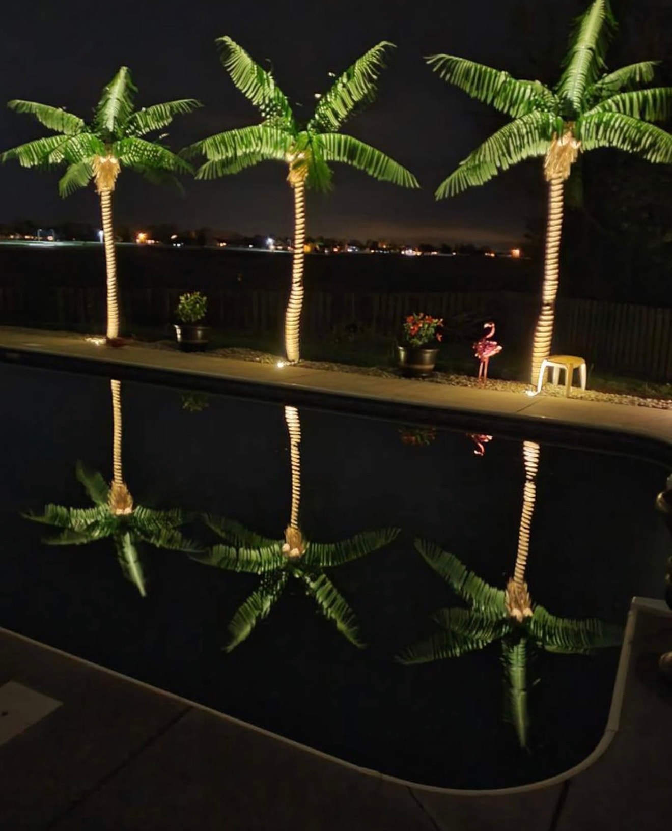 Palm trees lining a backyard pool
