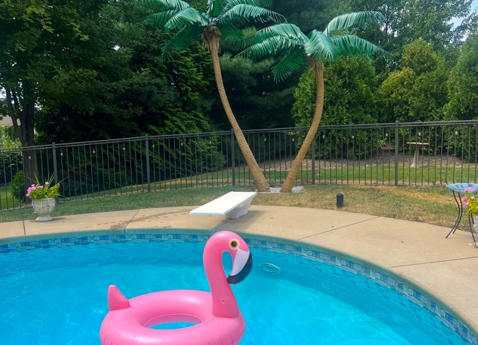 Island Breeze